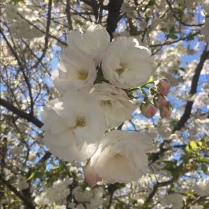 Meet your Posher, Katelyn